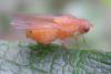 167898 – Photo : Guénael Hallart – France (02)