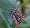 167684 – Photo : florent besson – France (18)