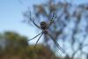 168114 – Photo : Alexanor – France (13)