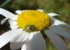 168793 – Photo : Maria Justamond – France (36)