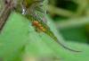 168000 – Photo : Maria Justamond – Royaume-Uni