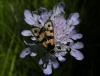 168969 – Photo : florent besson – France (18)