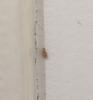 169321 – Photo : Anonyme – France (92)