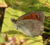 169991 – Photo : Yoann Pelouard – France (05)