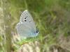 17564 – Photo : Arnaud Jean-Pierre – France (11)