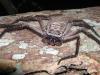 17783 – Photo : Claire Jacquet – Madagascar