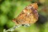 17660 – Photo : basc – France (20)