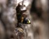 170028 – Photo : Jean-Sébastien Carteron – France (67)