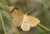 170364 – Photo : Christian Berquer – France (50)