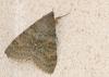 170566 – Photo : patrick derennes – France (94)