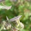 170398 – Photo : jojo de radon – France (10)