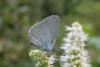 170728 – Photo : Yannick Mourgues – France (48)