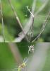 170805 – Photo : Liliane Delattre – France (30)