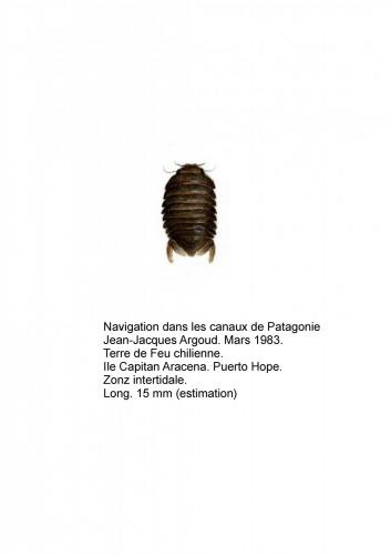 Indéterminé