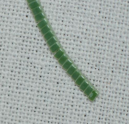 Ennomos sp.