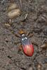 171449 – Photo : D. Martinez – Philippines