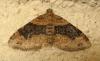 171952 – Photo : The Ghost Nightjar – France (56)