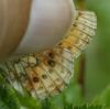 171701 – Photo : Yoann Pelouard – France (25)