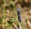 171458 – Photo : Eric Detrez – France (07)