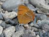 171496 – Photo : florent besson – France (63)