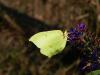 172553 – Photo : florent besson – France (18)