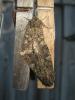 172034 – Photo : The Ghost Nightjar – France (56)