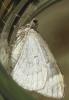 173800 – Photo : Axel Dehalleux – France (93)