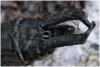 174838 – Photo : Benoit Guillon – Finlande