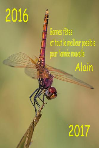 Réf. 175 987 : Trithemis annulata