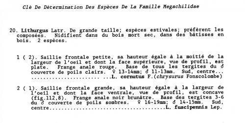 Indéterminé