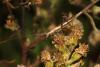 175935 – Photo : Duborget Robin – France (20)