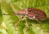 175466 – Photo : Arthropa - Benoit Martha – France (21)