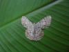 175720 – Photo : Laetitia Berquer – Mayotte