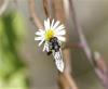 175721 – Photo : Claire Patroni – France (13)
