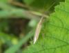 175741 – Photo : Mickael 55 – France (55)