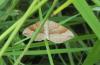 175487 – Photo : Mickael 55 – France (55)