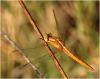 176484 – Photo : Benoit Guillon – Inde