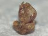 Anthidiellum sp.