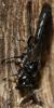 177544 – Photo : Christine DEVILLERS – Belgique