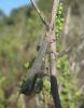 177837 – Photo : clovis – Portugal
