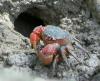 177640 – Photo : Christian Berquer – Mayotte