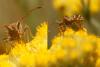 177200 – Photo : Pensa Eric – France (13)