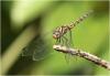 177468 – Photo : Benoit Guillon – Inde
