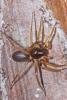 178008 – Photo : D. Martinez – Philippines