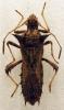 178330 – Photo : Lionel Casset – Bénin