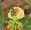 178211 – Photo : Greenlife – Sénégal
