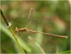 178148 – Photo : Benoit Guillon – Inde