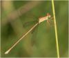 178149 – Photo : Benoit Guillon – Inde
