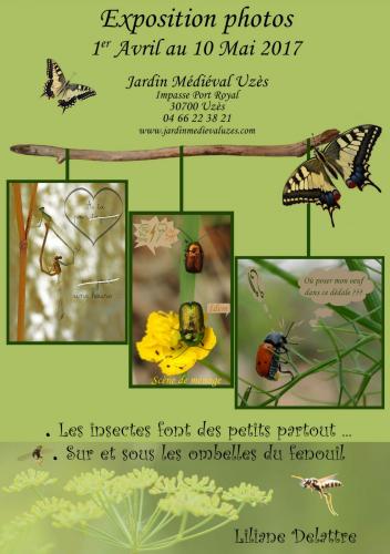 Indéterminé
