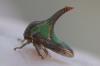 179465 – Photo : Christian Diemert – Costa Rica